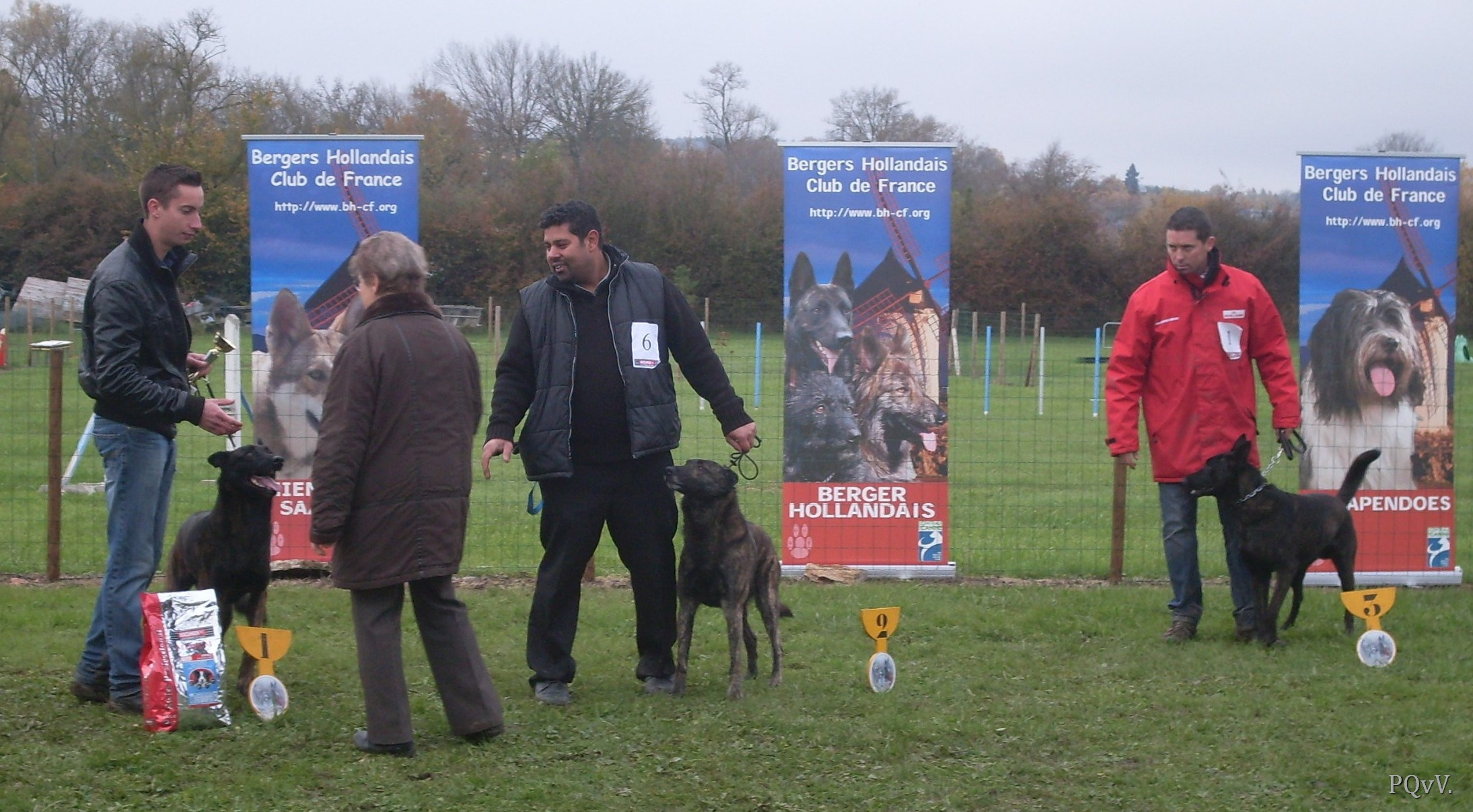  classe ouverte males : no. 1,2,3 (Eiko, Cuba, Fragan)